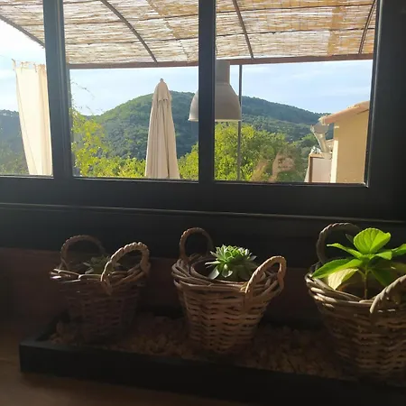 Maison De Charme Avec Piscine Dans Les Cevennes *